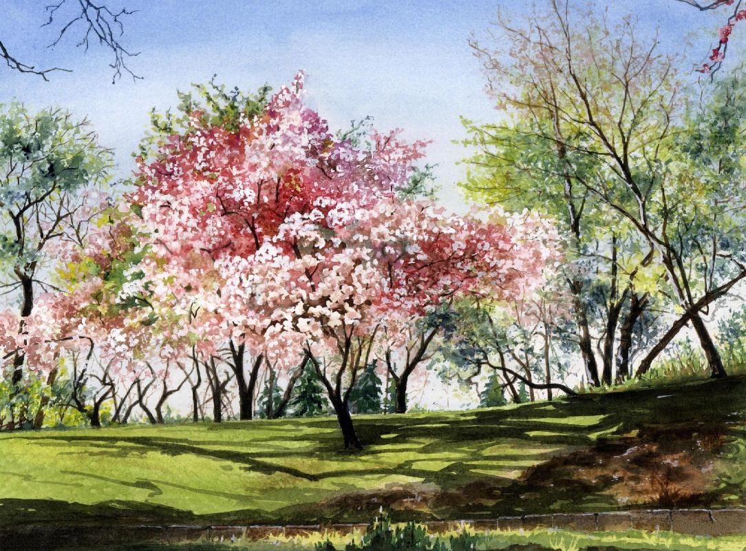 Рисование цветущий сад. Деревья в цвету живопись. Картина цветущие деревья.