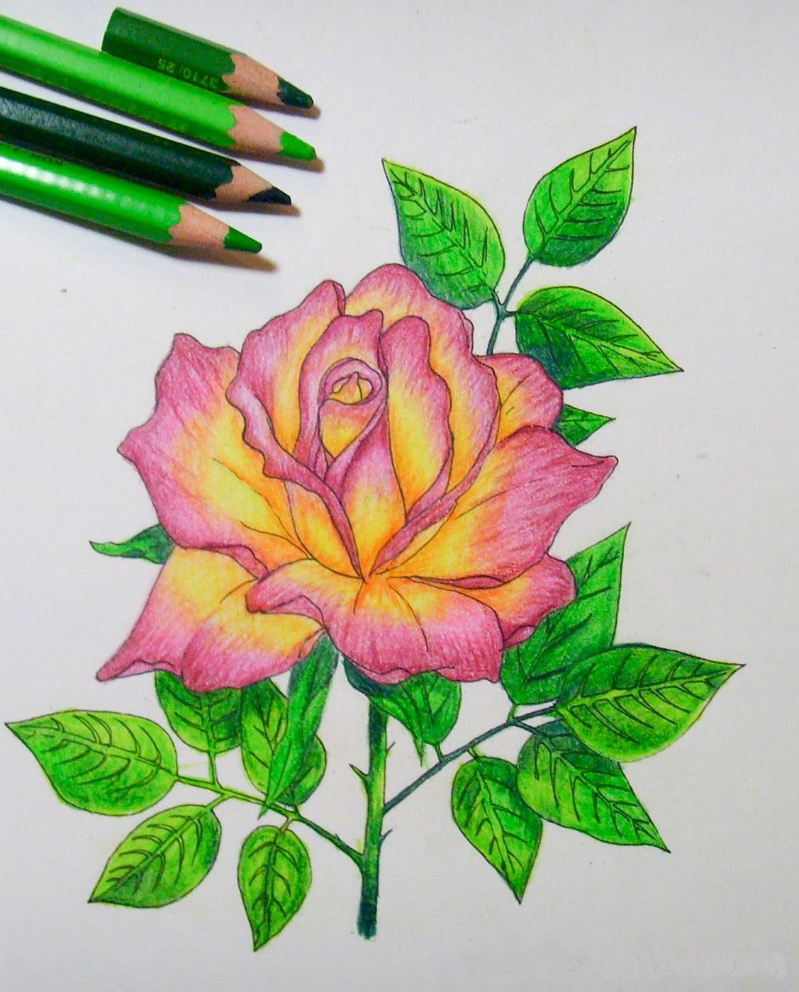 Цветы фломастеры и цветные карандаши