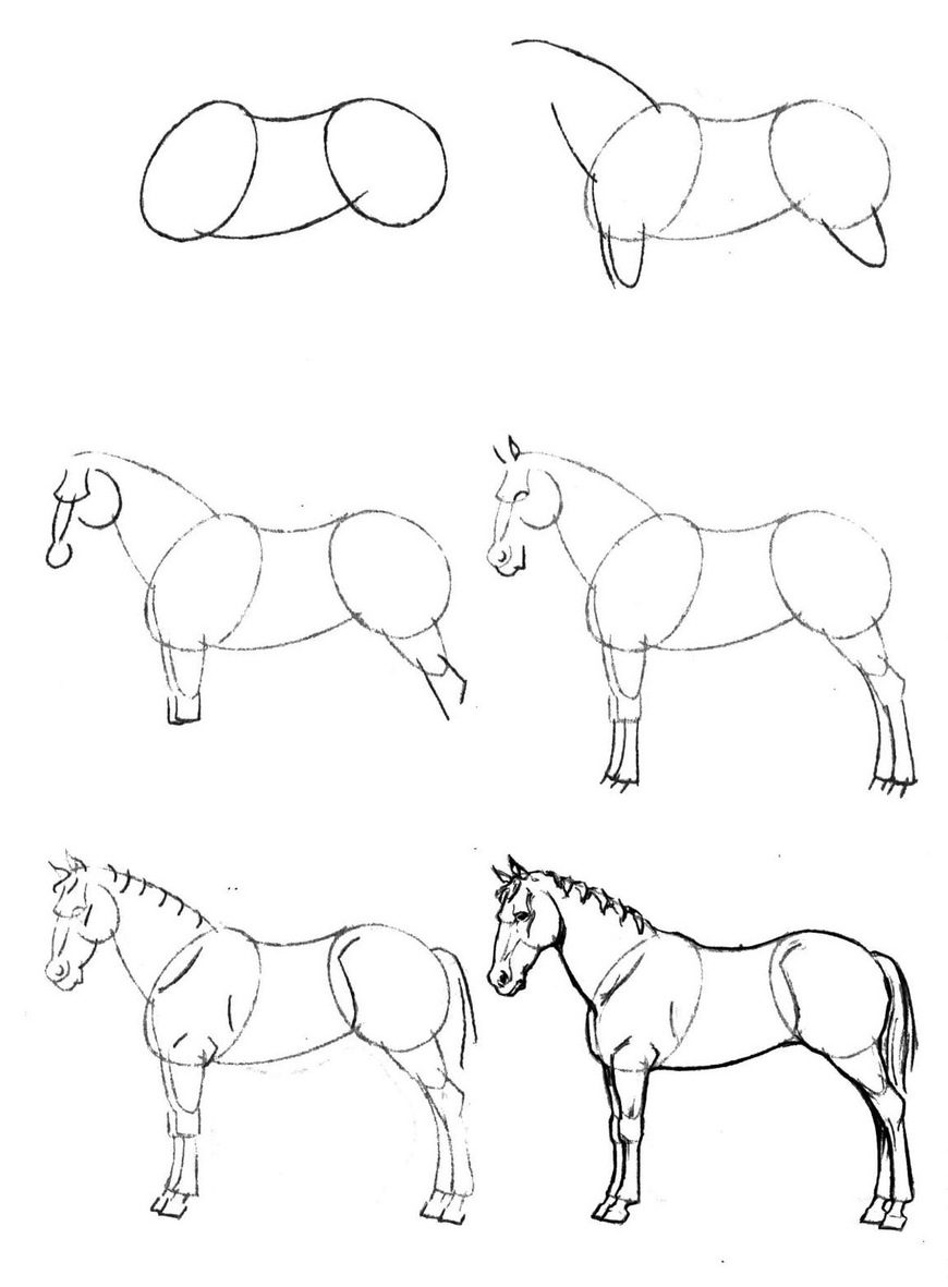 Как рисовать лошадь поэтапно карандашом