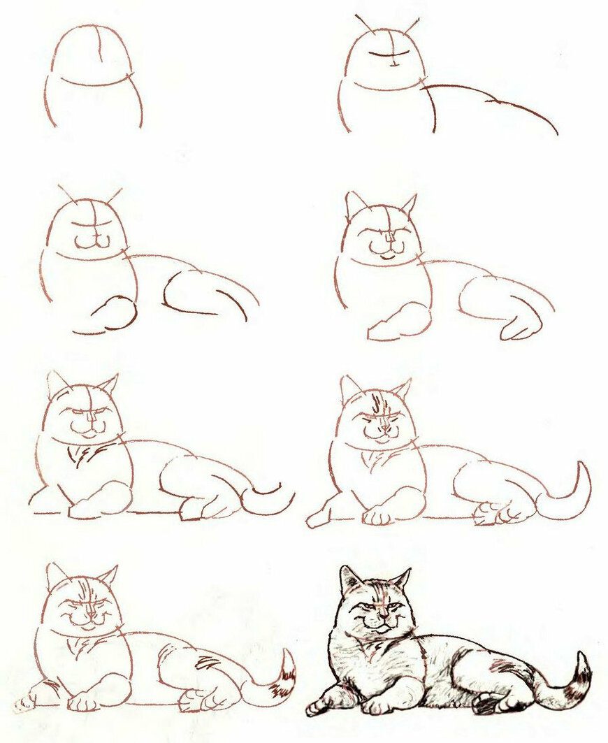 Рисование кошки поэтапно