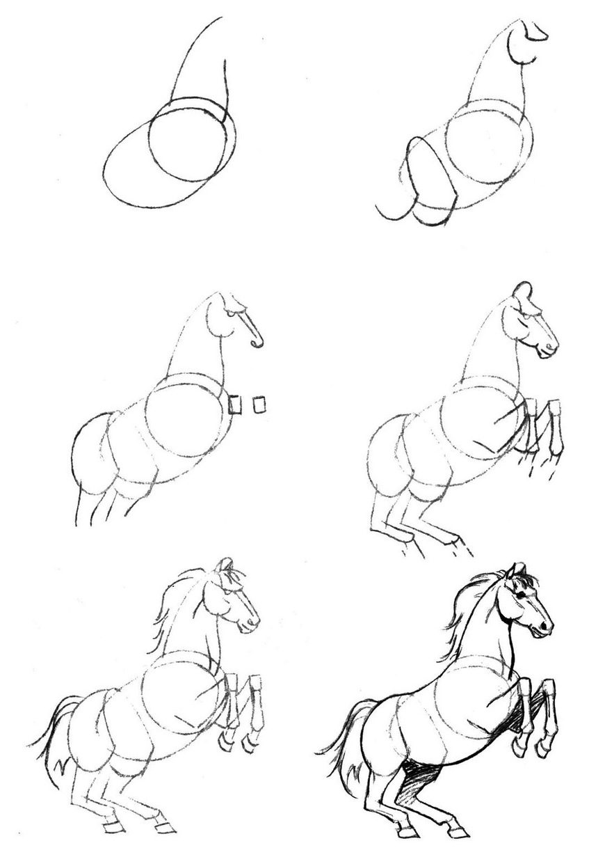 Рисунки лошадей для срисовки легкие для новичков