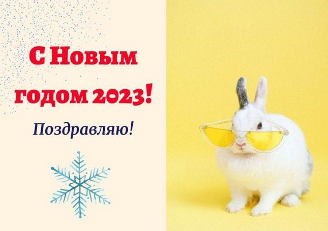 360 Красивых Картинок "С Новым Годом 2023" (кролика и кота )