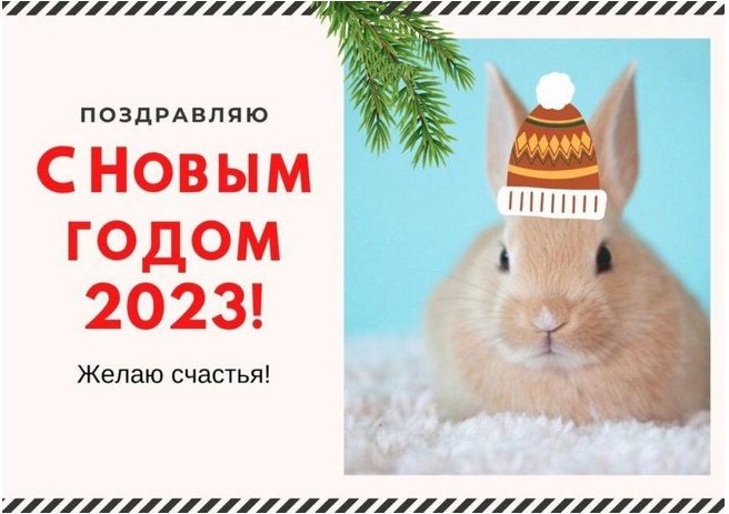 360 Красивых Картинок "С Новым Годом 2023" (кролика и кота )
