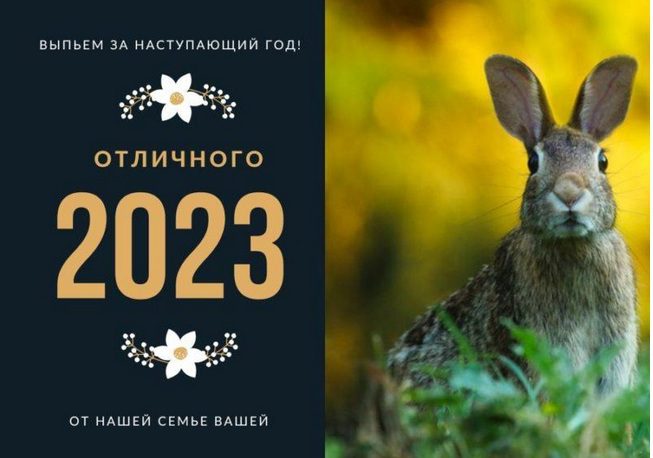 360 Красивых Картинок "С Новым Годом 2023" (кролика и кота )