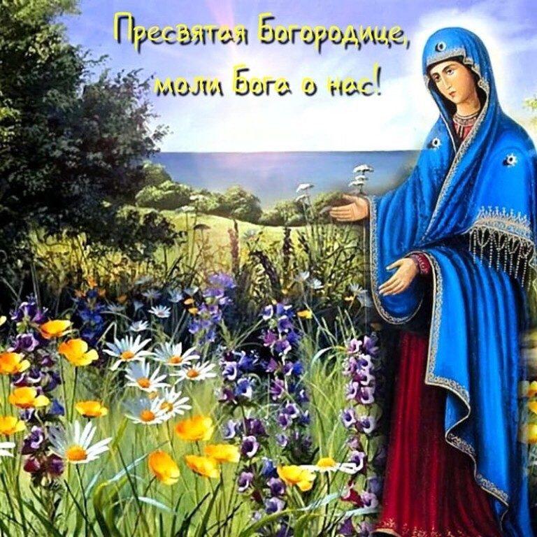 Святая милость божия. О благодати Божией. Доброго воскресного дня православные. Доброго дня православные. Доброго дня с Богородицей.