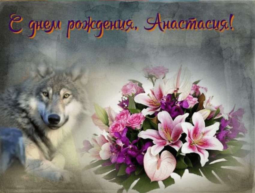Поздравление с днем рождения настя открытки красивые. Поздравление с днем рождения волк. Открытка с волком с днем рождения.