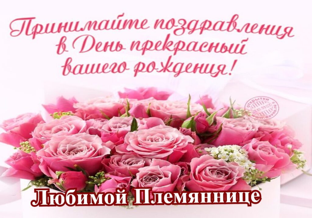 100 Открыток "С Днем Рождения" Племяннице в 2022 году